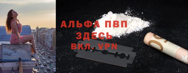 тгк Магас
