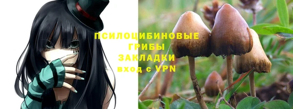тгк Магас