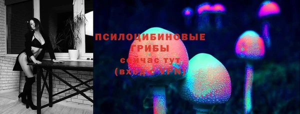 гашик Майский