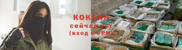 тгк Магас