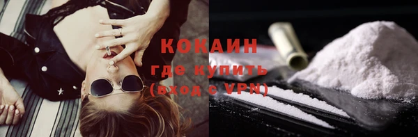 гашик Майский