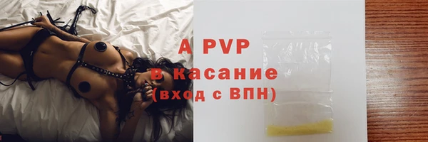 гашик Майский