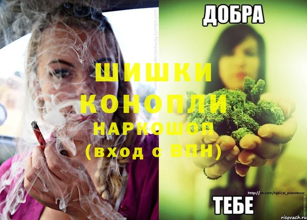 гашик Майский
