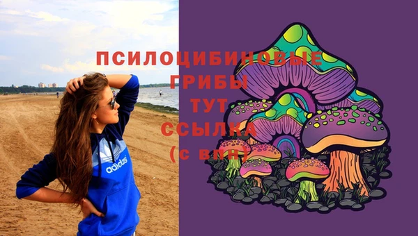 гашик Майский