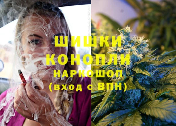 тгк Магас