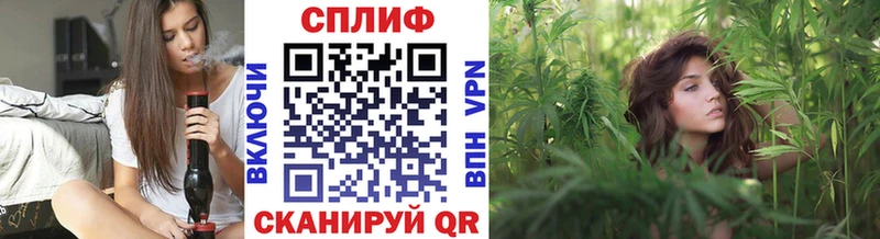 Бошки Шишки SATIVA & INDICA  Новая Усмань 